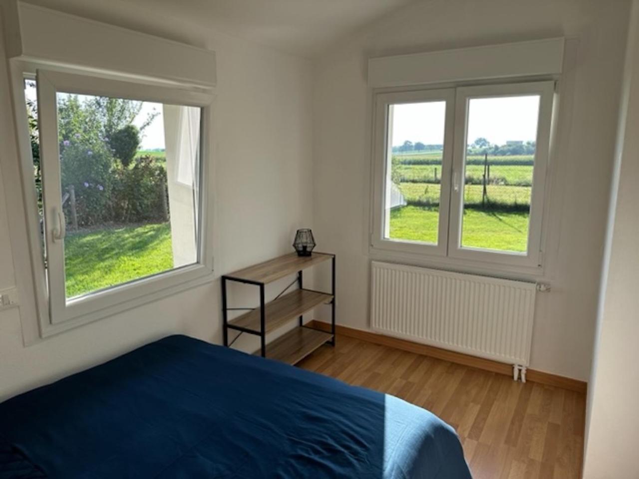 Le Nid Du Moulin Appartement Batzendorf Buitenkant foto
