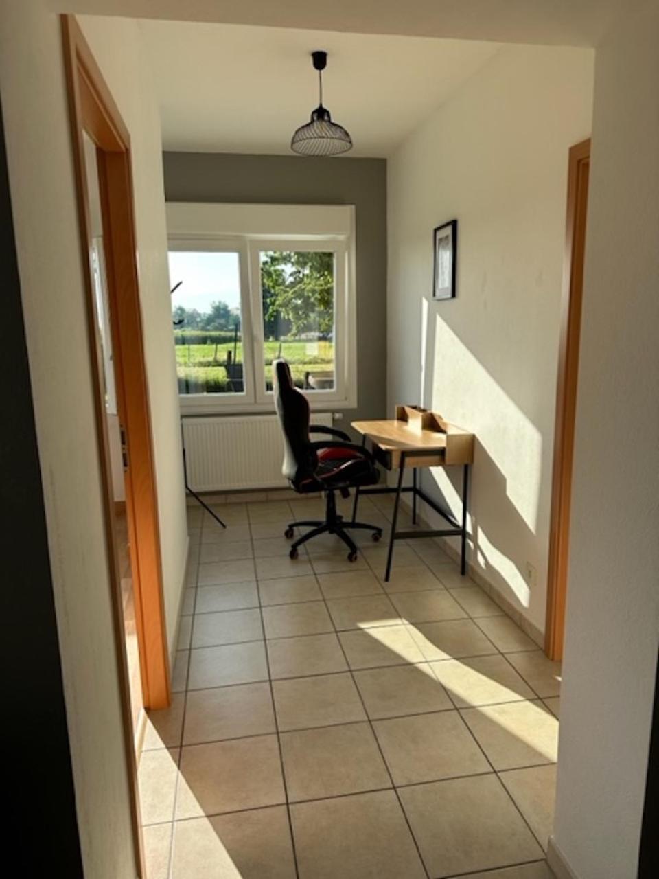 Le Nid Du Moulin Appartement Batzendorf Buitenkant foto