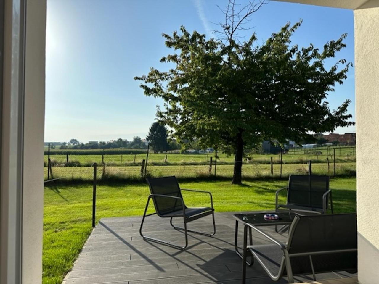 Le Nid Du Moulin Appartement Batzendorf Buitenkant foto